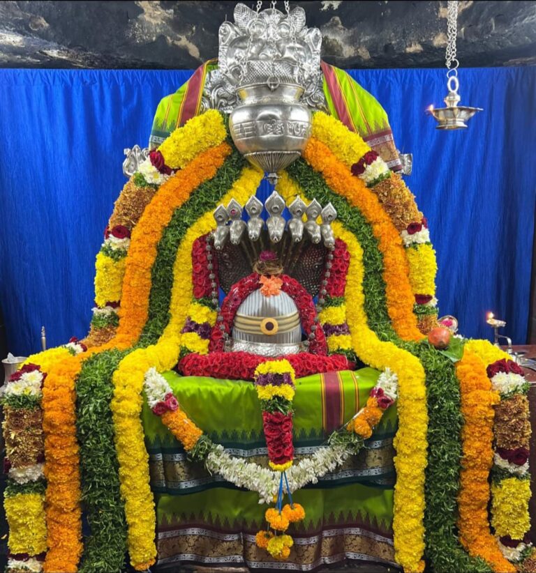 Rudrabhishek Pooja