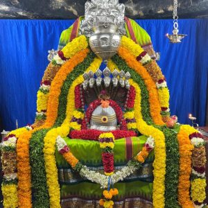 Rudrabhishek Pooja